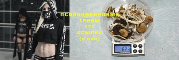 спайс Богородск