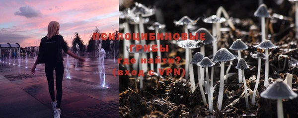 соль ск Бугульма