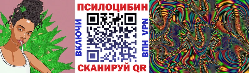 площадка как зайти  mega маркетплейс  Свободный  Псилоцибиновые грибы ЛСД 
