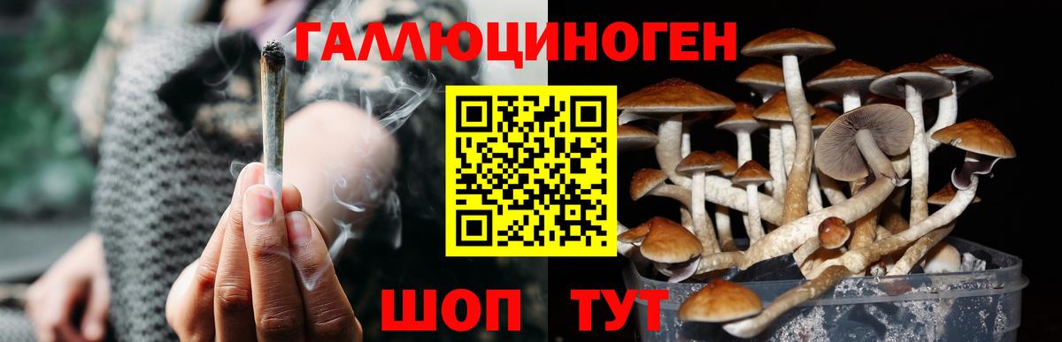 Галлюциногенные грибы Cubensis  Псилоцибиновые грибы MAGIC MUSHROOMS  Свободный  Вход с VPN 